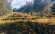 Olive Grove Retreat 1 By Tiny Away - thumb 3
