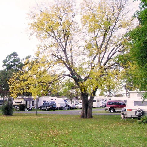Poplar Tourist Park - Timeshare Accommodation 2