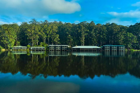 RAC Karri Valley Resort - Timeshare Accommodation 2