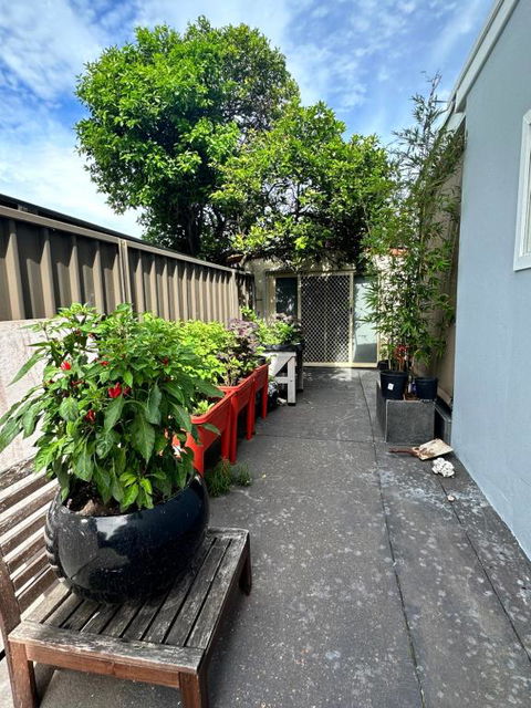 Private, Local Living Studio In Mascot, Airport - Timeshare Accommodation 2