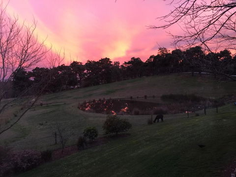 Raynella Alpaca Farmstay - Timeshare Accommodation 3