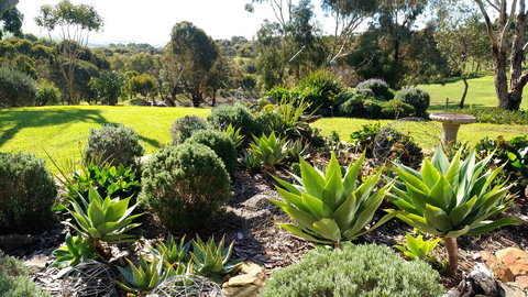 Austiny Bed And Breakfast Victor Harbor - Timeshare Accommodation 2