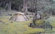 Base Camp Tasmania - thumb 3