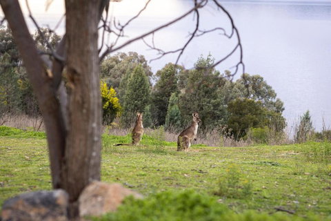 Reflections Lake Burrendong - Holiday Park - Timeshare Accommodation 1