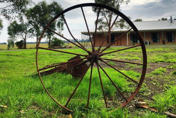 Ruby Rose with Timeshare Accommodation