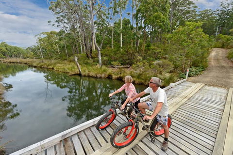 Saintys Creek Cottage - Timeshare Accommodation 2