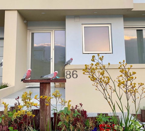 Sorrento Bluewater Apartment - Timeshare Accommodation 2