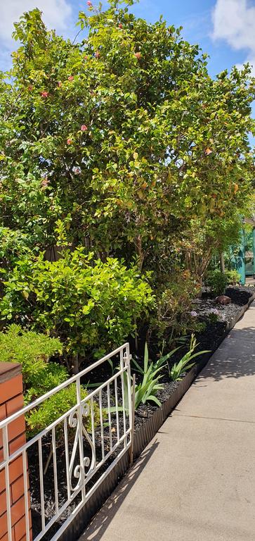 Betty's Place - Timeshare Accommodation 1