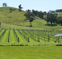 Blue House at Mountainside Wines - Timeshare Accommodation