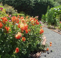 Boat Harbour Garden Cottages - Timeshare Accommodation
