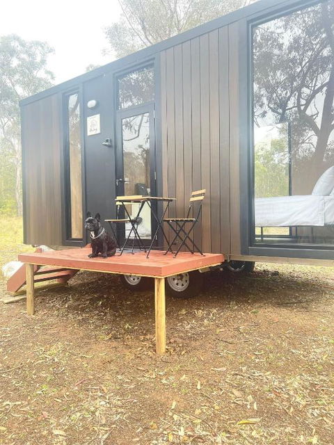Whispering Wallaby By Tiny Away - Timeshare Accommodation 1