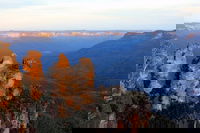 Blue Mountains In a DayPrivate Day Trip From Sydney