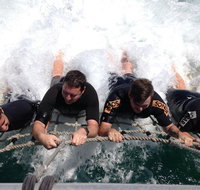 Cruise in Moreton Bay Marine Park and Moreton Island - Timeshare Accommodation