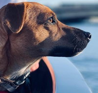 1.5-Hour Boat Rental in Melbourne - Timeshare Accommodation