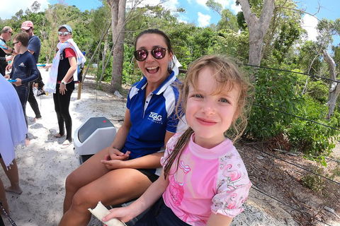 Whitehaven Beach Day Tour With Snorkel In Whitsundays Island - Timeshare Accommodation 1