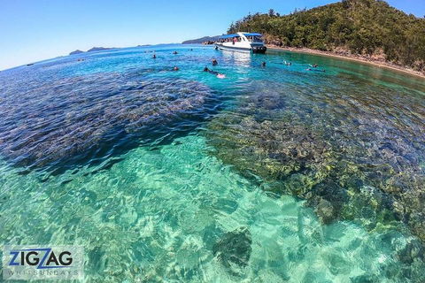 Whitehaven Beach Day Tour With Snorkel In Whitsundays Island - Timeshare Accommodation 5