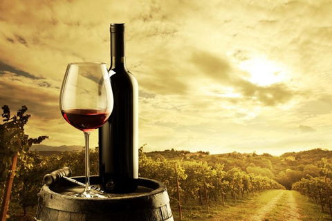 McLaren Vale Luxury Wine Tour - Timeshare Accommodation 0
