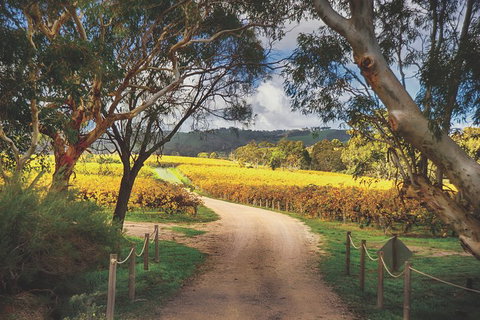 McLaren Vale Winery Small Group Tour With Wine Tasting And Lunch - Timeshare Accommodation 1