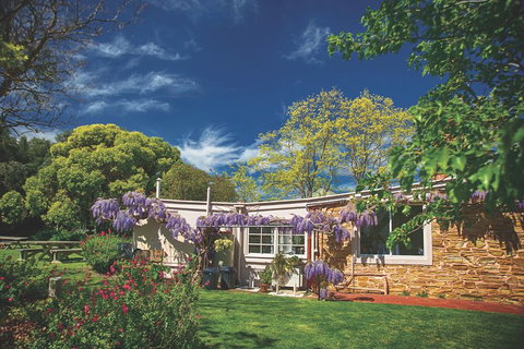 McLaren Vale Winery Small Group Tour With Wine Tasting And Lunch - Timeshare Accommodation 2