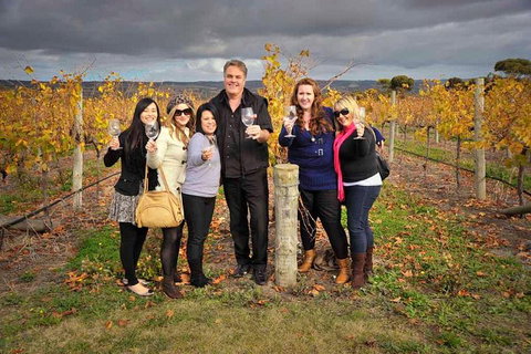 McLaren Vale Winery Small Group Tour With Wine Tasting And Lunch - Timeshare Accommodation 3