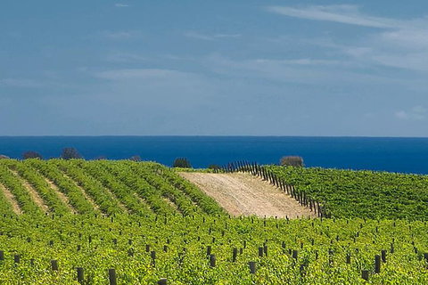 McLaren Vale Winery Small Group Tour With Wine Tasting And Lunch - Timeshare Accommodation 4