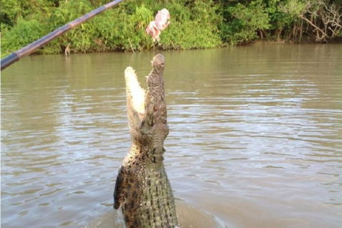 Litchfield National Park And Jumping Crocodile Cruise - Timeshare Accommodation 2
