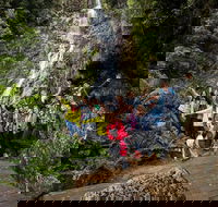 5-Day Lap of Tasmania Tour from Hobart flexible ticket - Timeshare Accommodation