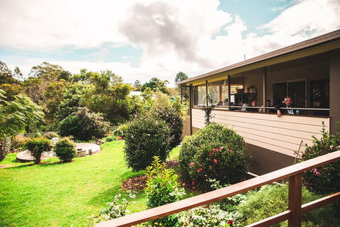 Full-day Springbrook National Park Tour From The Gold Coast - Timeshare Accommodation 2