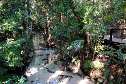 Fraser Island 4WD Tour From Rainbow Beach - Timeshare Accommodation 0