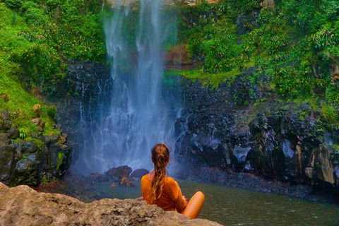 Rainforest & Waterfalls Extravaganza - Timeshare Accommodation 2