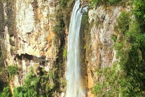 Rainforest & Waterfalls Extravaganza - Timeshare Accommodation 3