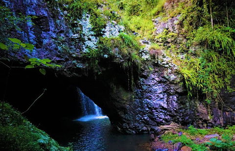 Rainforest & Waterfalls Extravaganza - Timeshare Accommodation 5