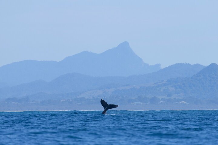 Byron Bay NSW Timeshare Accommodation
