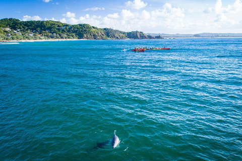 The Byron Bay Sea Kayak Tour - Timeshare Accommodation 2