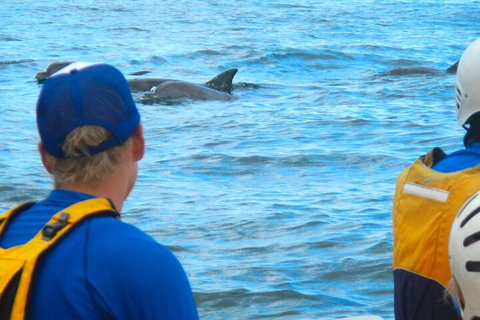 The Byron Bay Sea Kayak Tour - Timeshare Accommodation 4