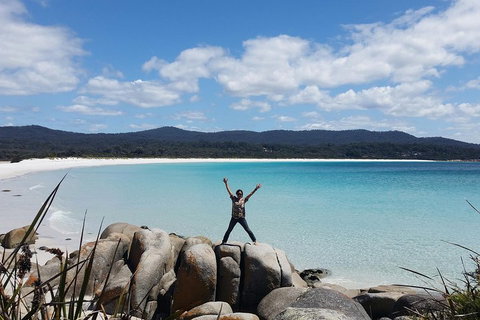 Tasmania 4 Day East Coast + Launceston - Timeshare Accommodation 1