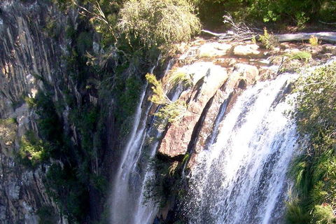Byron Bay Combo: Hinterland Tour Including Minyon Falls And Kayaking With Dolphins - Timeshare Accommodation 3