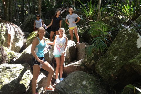 Byron Bay Combo: Hinterland Tour Including Minyon Falls And Kayaking With Dolphins - Timeshare Accommodation 4