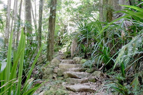 Byron Bay Combo: Hinterland Tour Including Minyon Falls And Kayaking With Dolphins - Timeshare Accommodation 5