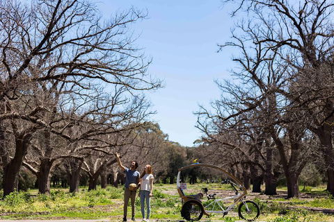 Adelaide 90-Minute Pedicab Tour: Scenic Green & River Experience - Timeshare Accommodation 1