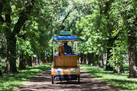 Adelaide 90-Minute Pedicab Tour: Scenic Green & River Experience - Timeshare Accommodation 2
