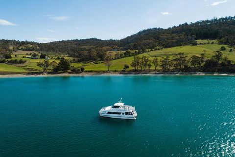 Deep-to-Dish: Tasmanian Seafood Experience - Timeshare Accommodation 0