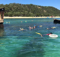 All Inclusive Dolphin and Tangalooma Wrecks Cruise - Timeshare Accommodation