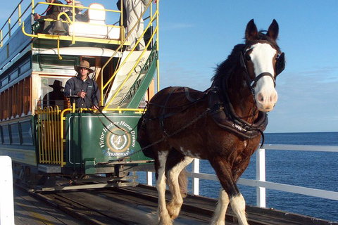 Full-Day Tour In South Australia Highlights - Timeshare Accommodation 1