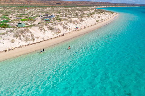 Ningaloo In A Day - Full Day Hike And Snorkel Tour With Lunch - Timeshare Accommodation 0