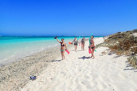 Ningaloo In A Day - Full Day Hike And Snorkel Tour With Lunch - Timeshare Accommodation 1