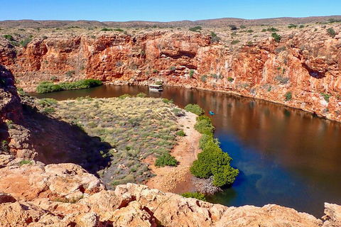 Ningaloo In A Day - Full Day Hike And Snorkel Tour With Lunch - Timeshare Accommodation 2