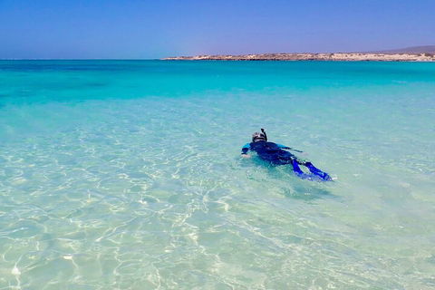 Ningaloo In A Day - Full Day Hike And Snorkel Tour With Lunch - Timeshare Accommodation 4