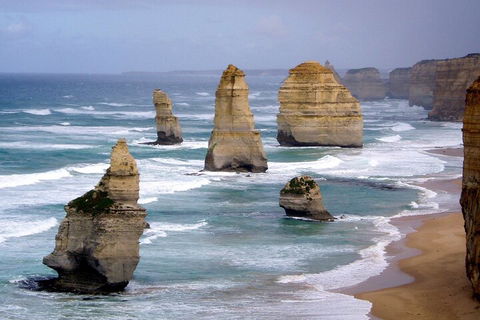 LGBT+ Friendly 2 Day Private Tour Great Ocean Road + Phillip Island - Timeshare Accommodation 0