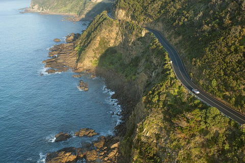 LGBT+ Friendly 2 Day Private Tour Great Ocean Road + Phillip Island - Timeshare Accommodation 4